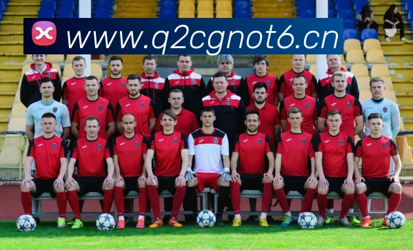 乐竞体育首页官网平台生态图